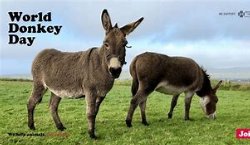 World Donkey Day